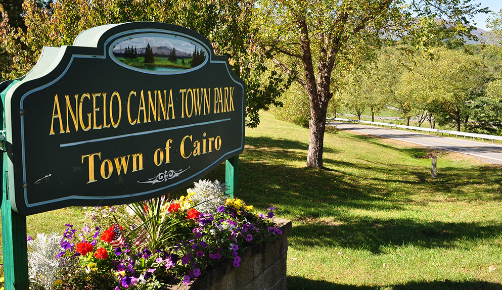 Cairo, New York Business Opportunities