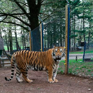 Bailiwick Ranch & Discovery Zoo