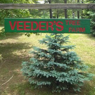 Veeder’s Tree Farm in Coxsackie