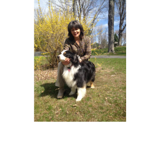 Natural Path Healing for Animals