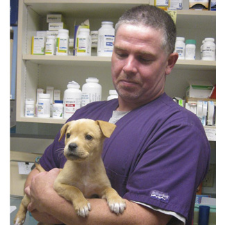 New Baltimore Animal Hospital in Coxsackie