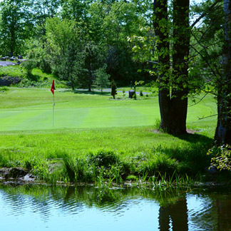 Island Green in Greenville