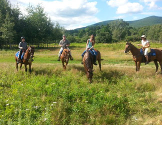 Rough Riders Ranch in East Jewett