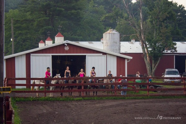 Catskill Equestrian Center