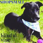 Blissful Vine