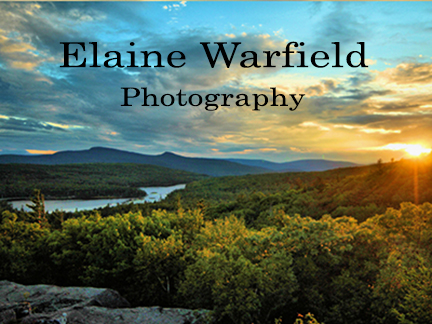 Elaine Warfield Photography in Jewett