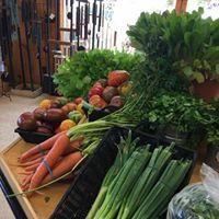 Black Horse Farms Athens NY Store Vegetables