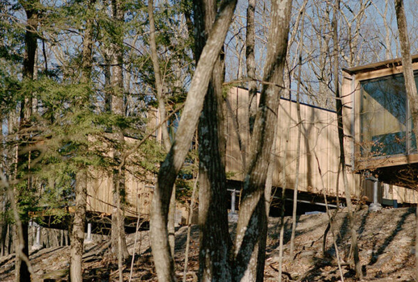 Outdoor cabins floating in the trees