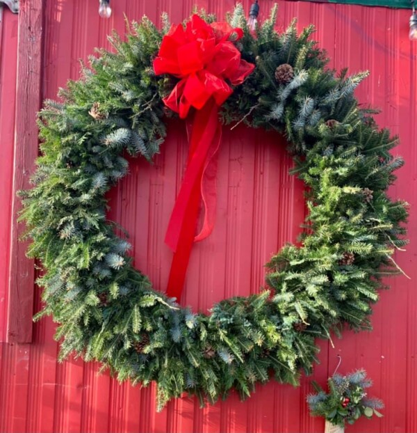 Catskill Mountain Christmas Trees