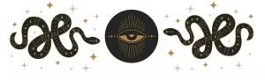DOKTOR KAT Acupuncture + Traditional Medicine in Cairo, NY