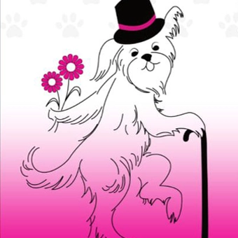 Dapper Dog Grooming in Cairo