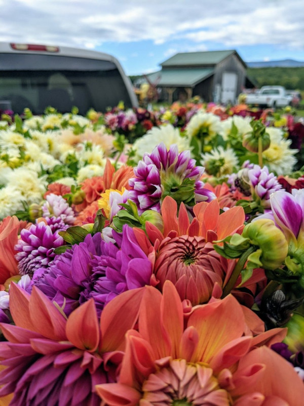 The River Garden Flower Farm